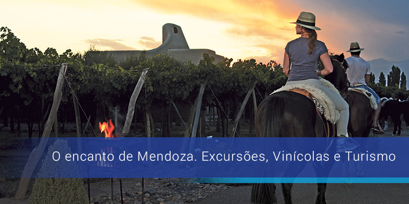 El encanto de Mendoza: excursiones, bodegas y aventuras
